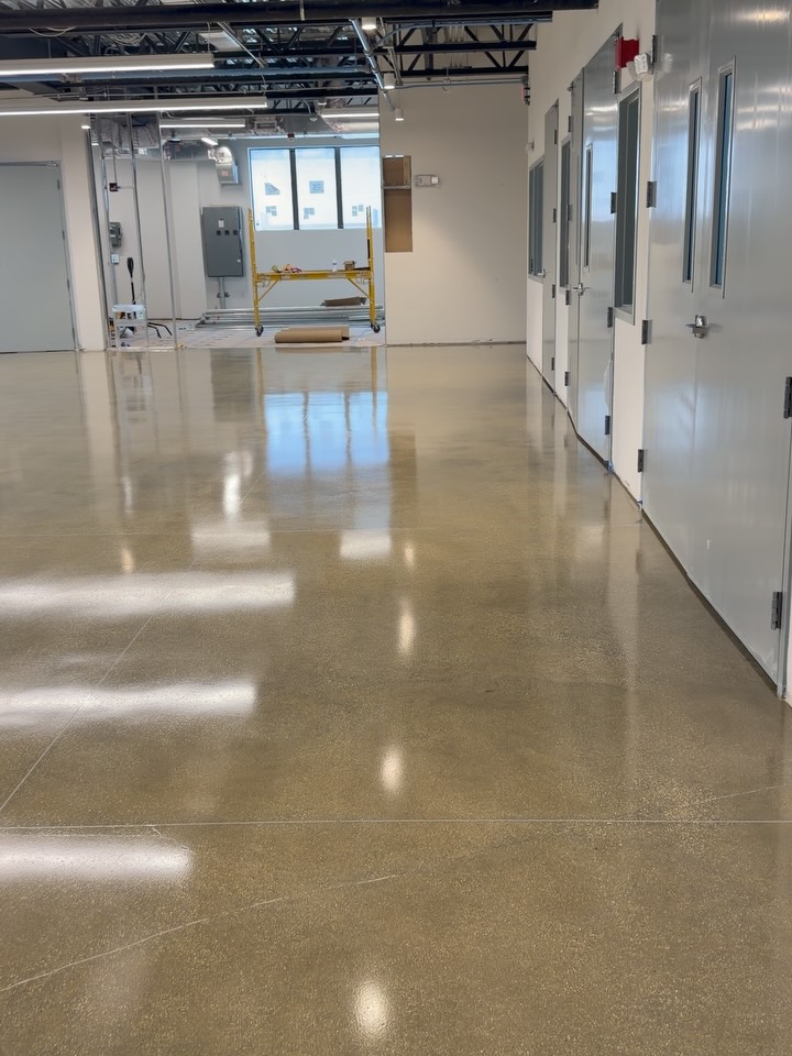 Bright commercial corridor with a newly polished concrete floor